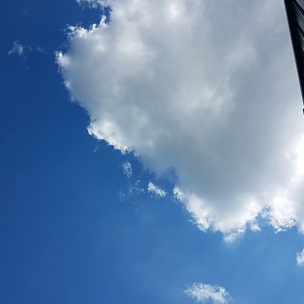 Meet your Posher, Jordan